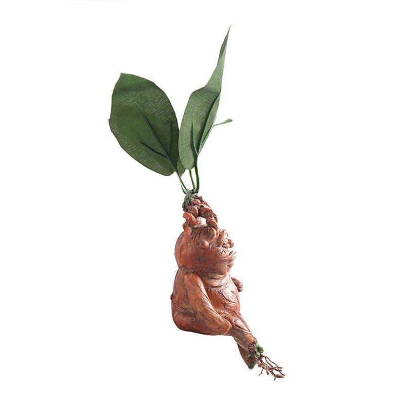1PCS Mandrake Grass Resin Stat - Resin Art Anniversary Gift review and price
